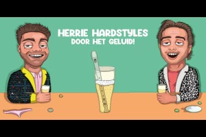 Herrie Hardstyles - Door Het Geluid